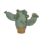 Vaso Cactus Medio in cotto