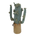 Vaso Cactus Grande in cotto