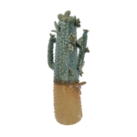 Vaso Cactus Grande in cotto