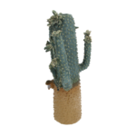 Vaso Cactus Grande in cotto