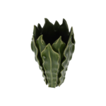 Vaso con foglie verdi