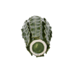 Vaso con foglie verdi