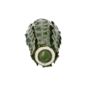 Vaso con foglie verdi