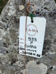 Coppia Sopracolonna in Travertino con Piramide