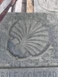 Stemma Nobile Contrada del Nicchio
