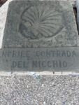 Stemma Nobile Contrada del Nicchio