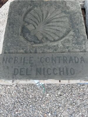 Stemma Nobile Contrada del Nicchio